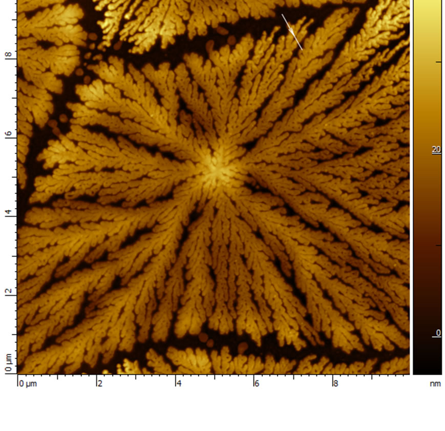 SEM image of tetrahedral tip cantilever (OMCL-AC160TS-)