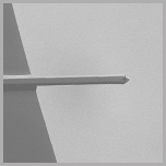 SEM image of tetrahedral tip cantilever (OMCL-AC160TS-)